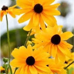 Meet your Posher, Joshua